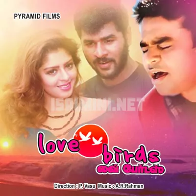 Love Birds Poster