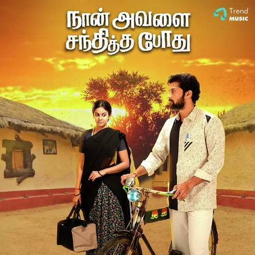 Naan Avalai Santhitha Pothu Poster