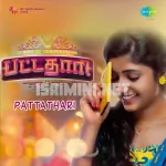 Pattathari (Bandha Pannum) Song Poster