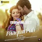 Pothukittu Song Poster