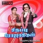 Ninaivo Oru Paravai Song Poster