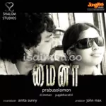 Kaiya Pudi Song Poster