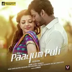 Puli Puli Paayumpuli Song Poster