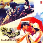 Kadal Mele Alai Pole Song Poster