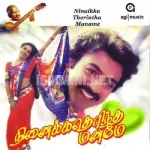 Chinna Chinna Muthu Neerile Song Poster