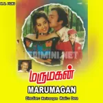 Manjulu Manjula Song Poster