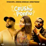 Crushu Ponnu Instrumental Song Poster